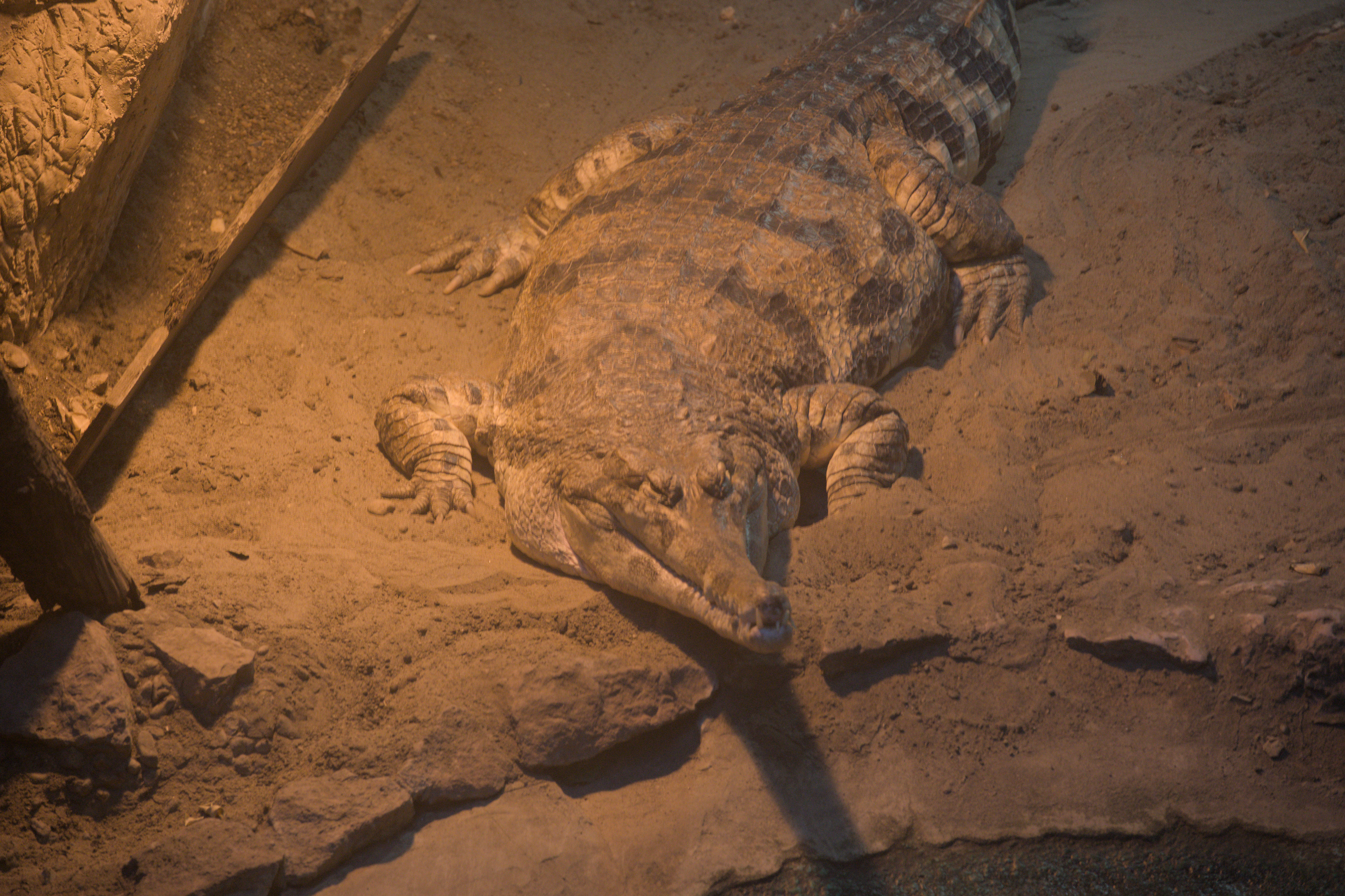 2025/10/12 - zoo/DSC_0159.jpg